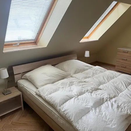 Fleiderbusch Kamin Haustier بيت للعطل *