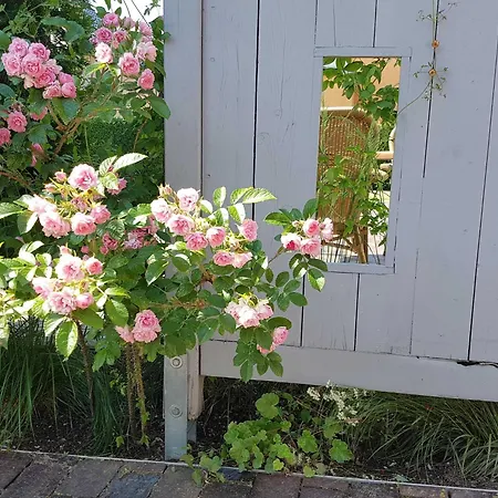 بيت للعطل Fleiderbusch Kamin Haustier Börgerende-Rethwisch